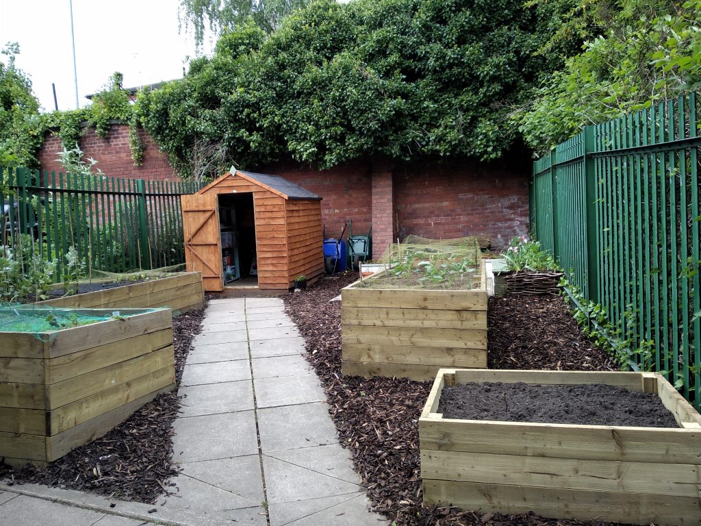 New life to the garden