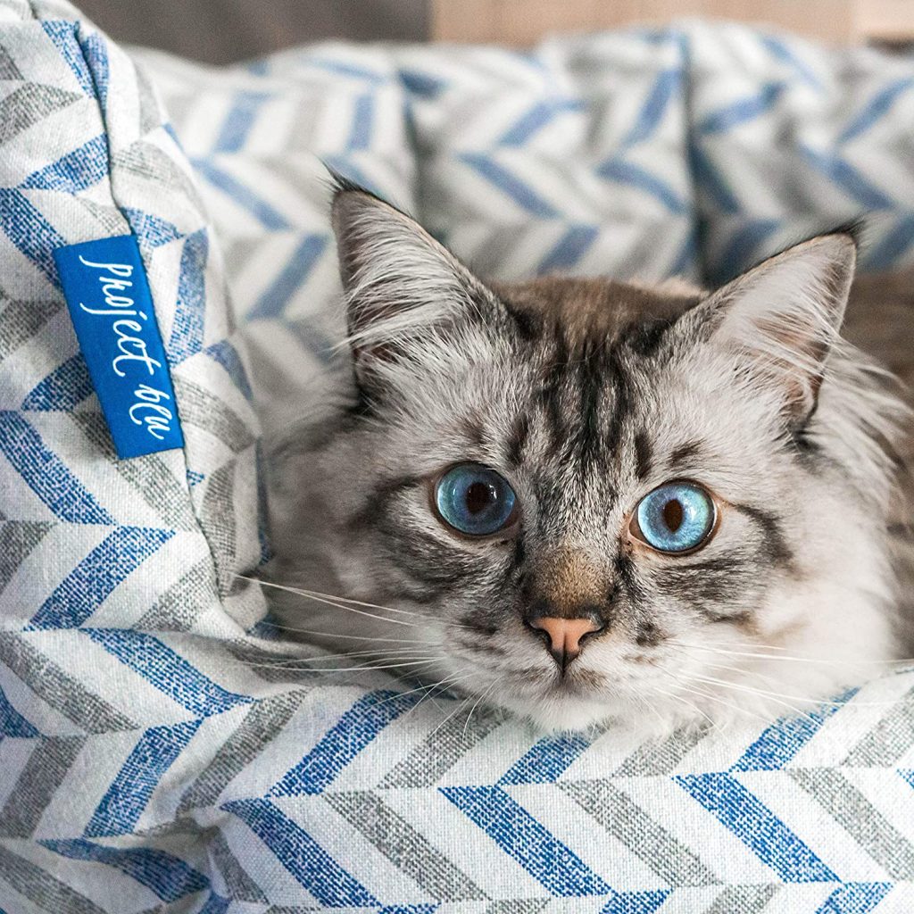 Cat Bed pet-friendly