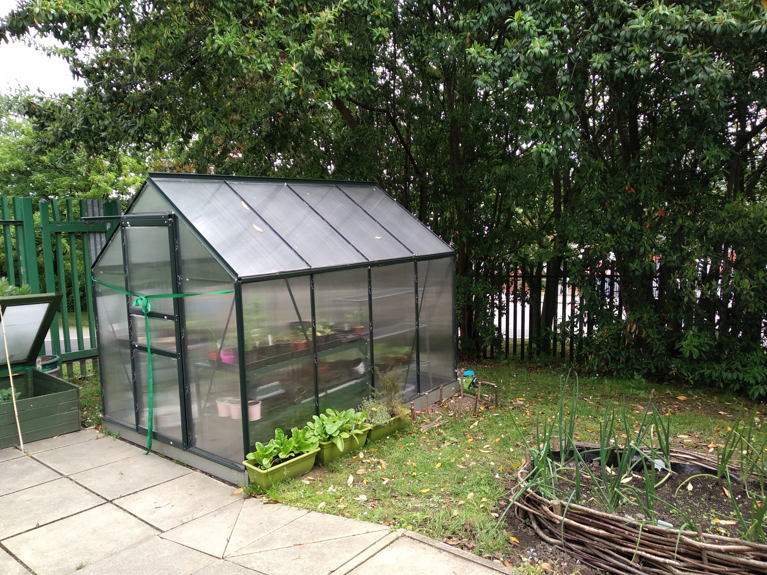 The greenhouse